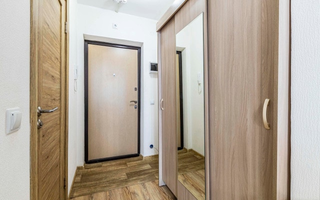 Апартаменты Dream House Спутников