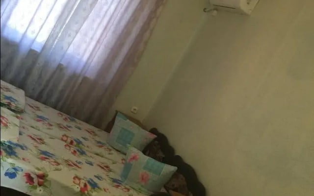 Guest house Antiei