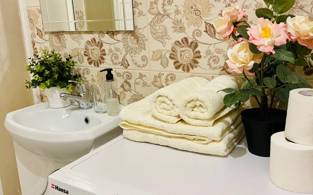 Апартаменты Liki-Mir Apartments Английская *24