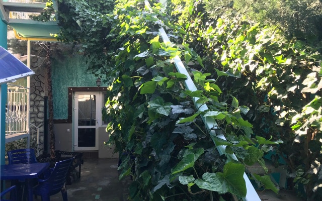 Гостевой Дом Волшебный Дворик Magic Patio