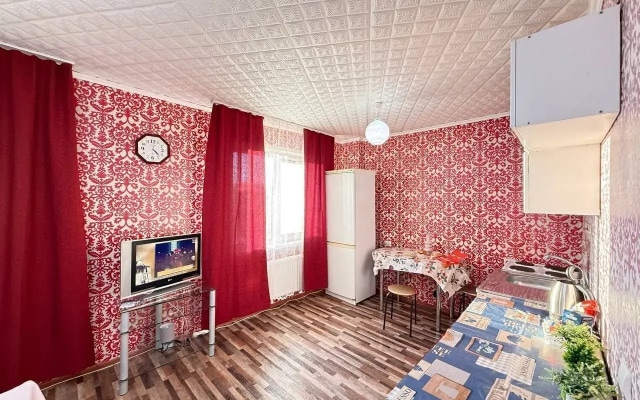 Квартира на Проспекте Ливанова 8 (59)