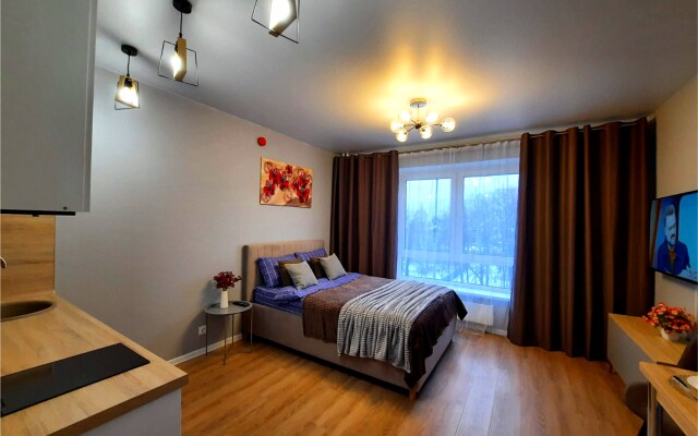 Квартира Loft Studio на Летчика Ларюшина 2