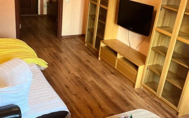 Квартира уютная однокомнатная в городе Московский Dayker City Apartments