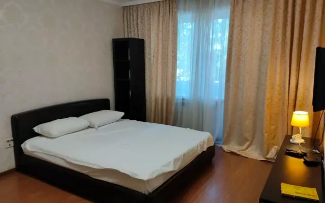 Квартира на Проспекте Чехова 101