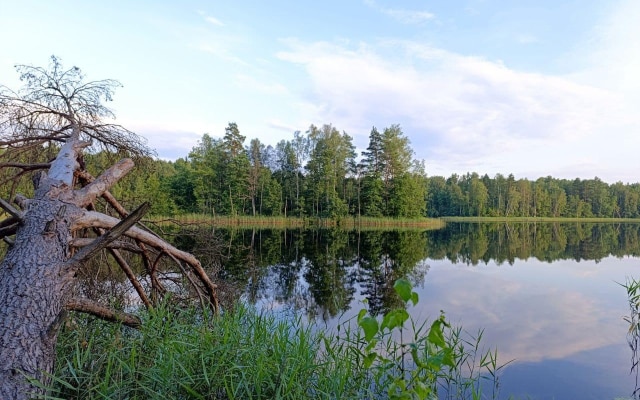Глэмпинг Жарынка