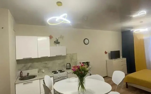 Квартира на Суворовском Студия