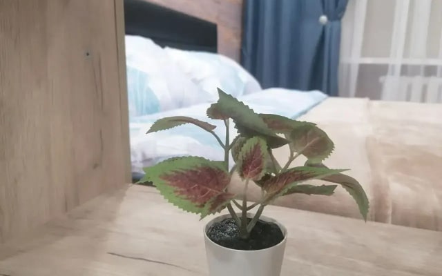 Квартира Котовского 3