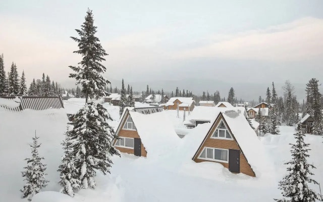 Частный дом уютный A-frame White