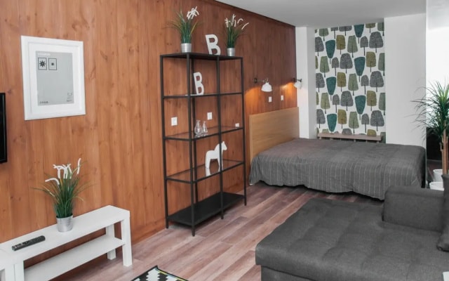 Квартира Pskov Design Apartments 3