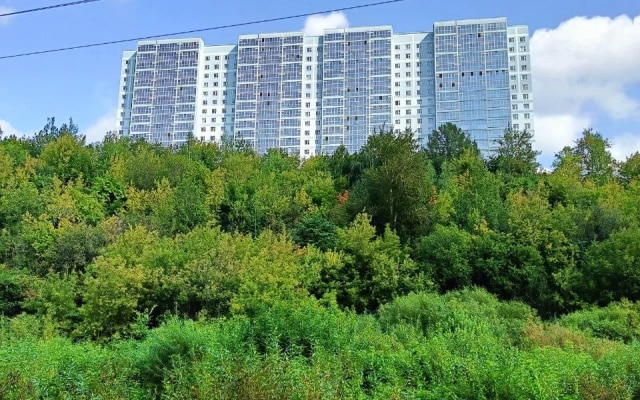 Квартира на бульваре