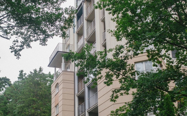 Квартира Rauschen Green Pine