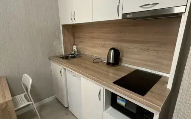 Апартаменты Pulkovo Hotel SPB