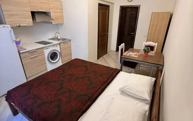 Квартира студия, 23 кв. м, 1 кровать