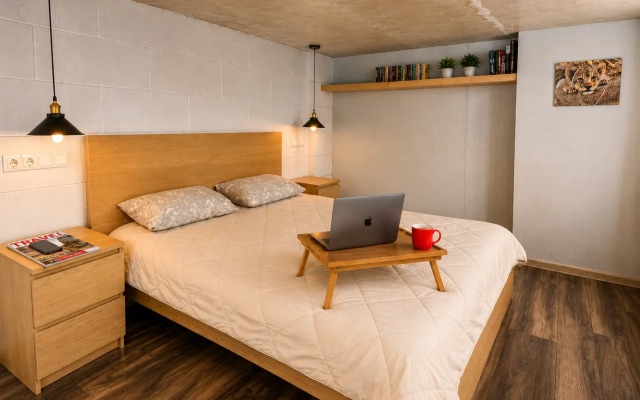 Апартаменты Duplex Loft 1