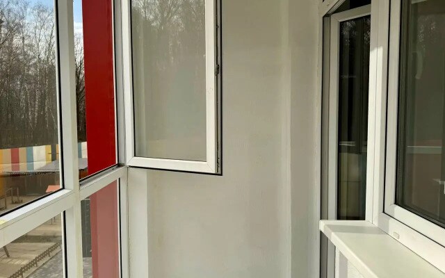 Квартира двухкомнатная с видом на парк в ЖК Спутник