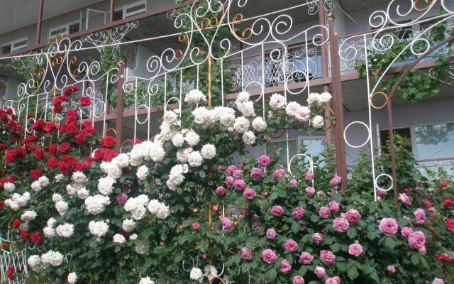 Мини-отель TeremOK Inn
