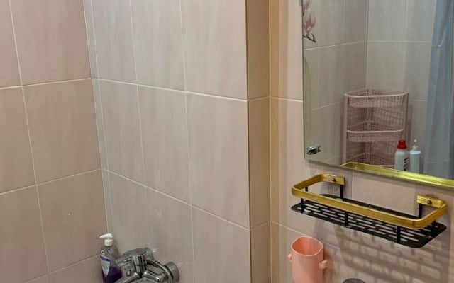 Квартира однокомнатная на улице Курыжова 13
