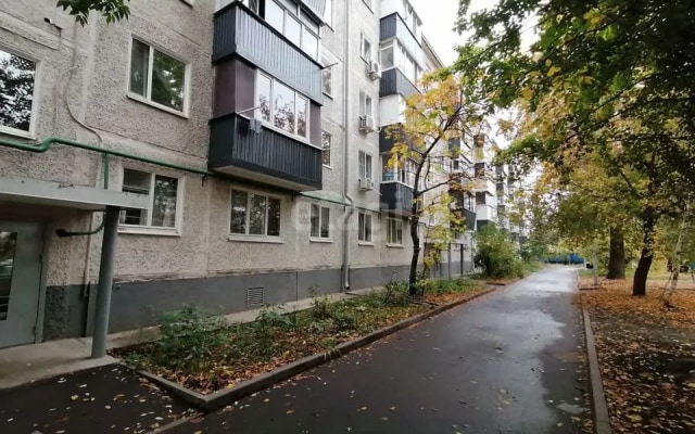 Квартира Даурская, Город на Ладони