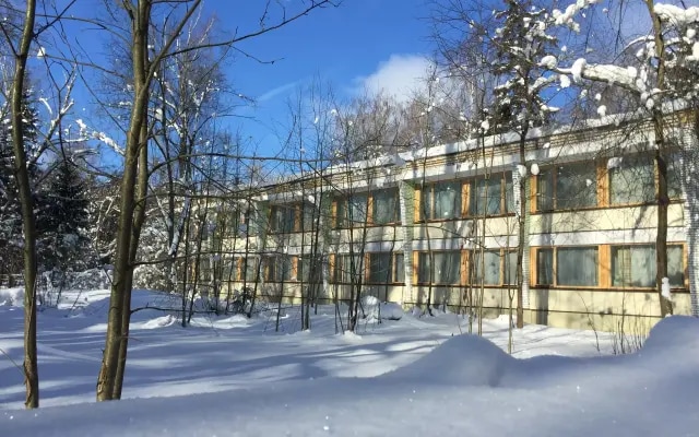 Ёжик