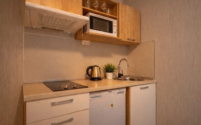 Апартаменты Студия Natalie Apartments Пулковское шоссе 14с6