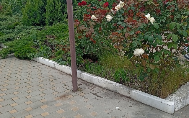 Гостевой дом Ладья