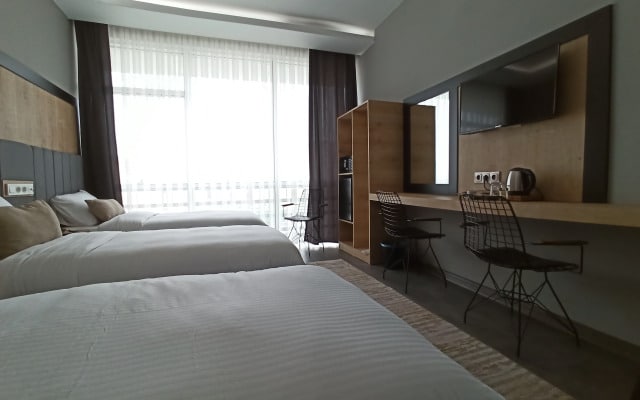 Dedem Hotel Express-Istanbul Airport
