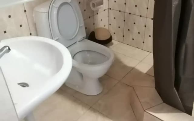 Апартаменты Сочи