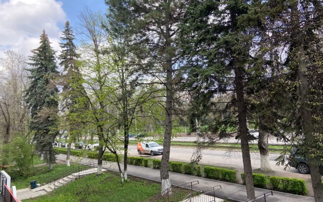 Квартира с Видом на Парк