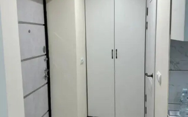 Студия на Баучидзе