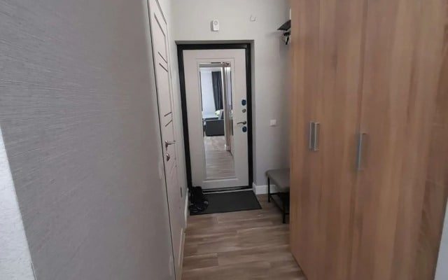 Квартира на улице Баумана 269