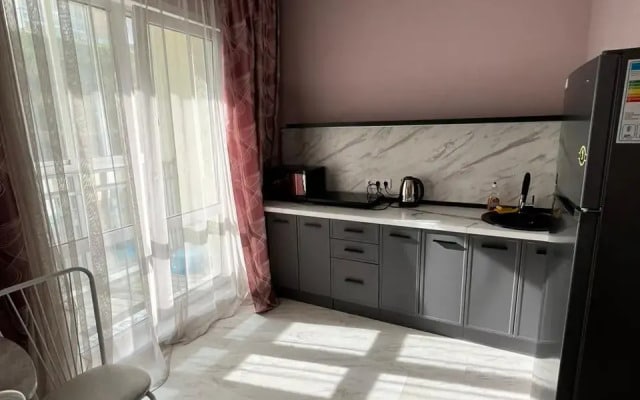 Квартира возле СК Кузбасс-Арена, Ледовый дворец