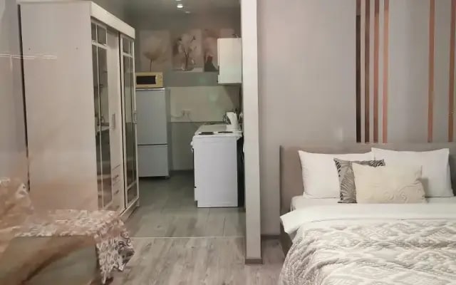 Квартира на Кулагина 29/1
