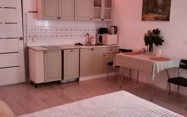 Квартира Уютная студия в Петергофе