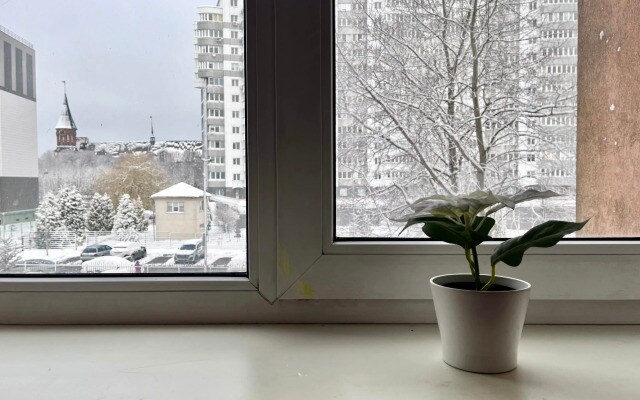 Квартира Семейная с Видом на Кафедральный Собор