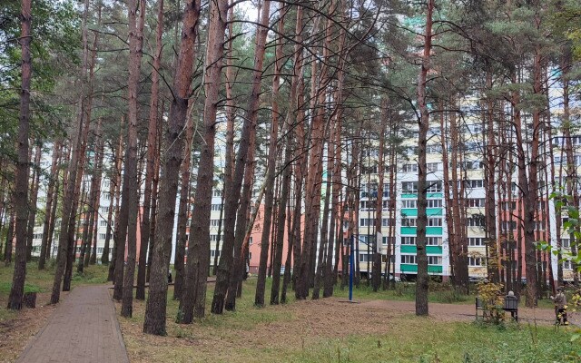 Квартира Евродвушка как трёшка