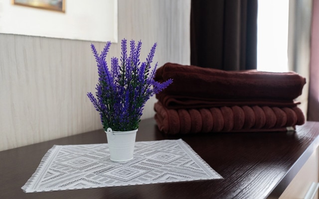 Апартаменты Urban Stay Тихий Центр