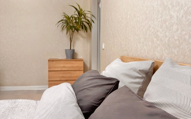 Квартира Zeninapart