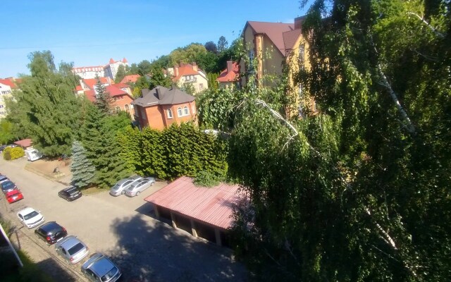 Квартира Уютная в Центральном районе (Амалиенау)