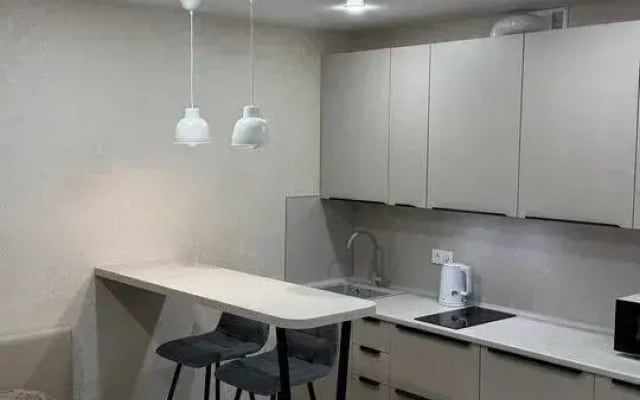 Апартаменты на улице Курыжова