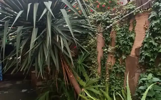 Гостевой дом Тенистый Берег