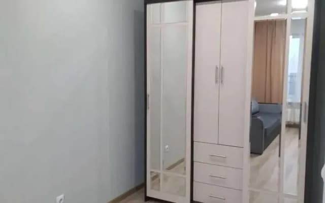 Квартира на Николая Ершова 66В 322