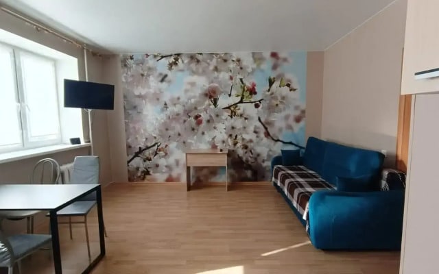 Квартира Большая 1 Остров Патрушева