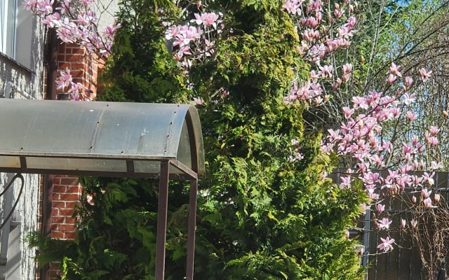 Квартира Лофт в Амалиенау
