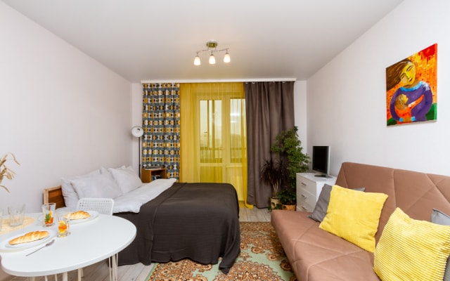 Апартаменты Эрмитаж Швабэ Дом солнца Калинина Заельцовская Дуси Ковальчук СГУПС