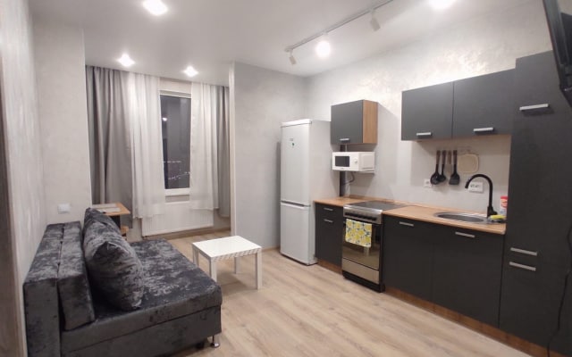 Квартира Loft студия ТЦ Кристалл