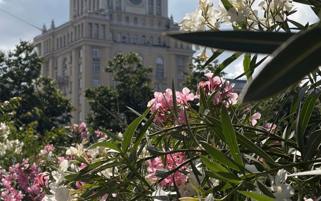Гостиница Пекин