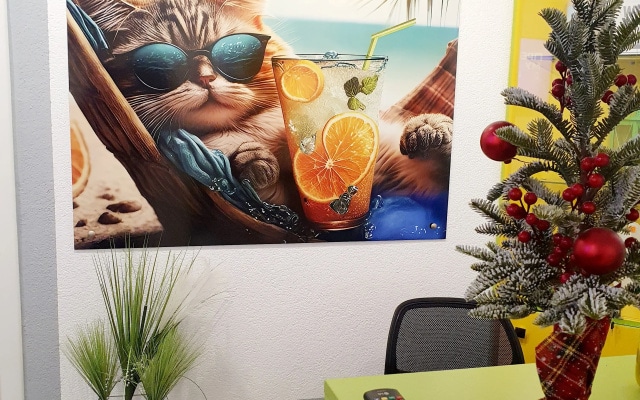 Хостел Party and Sun