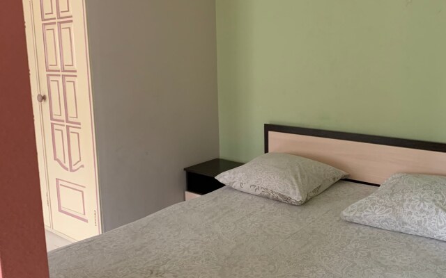 Апартаменты Apartanik