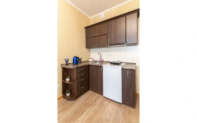 Апартаменты Prince Apartments на ПроспектеСтроителей 18 (221)