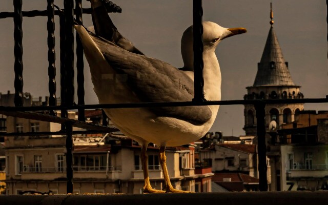 GALATA M84 Hotel